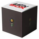Gecko x Negro (Latin Box Mashup)