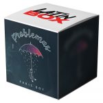 No Se Da Cuenta x Problemas (Latin Box Mashup)