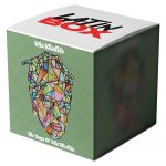 Agua x Still Wiz (Latin Box Mashup)