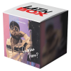 Cochinae (Latin Box Extended)