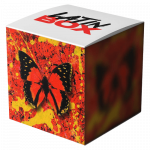 2step (feat. Quevedo) (Latin Box Extended)