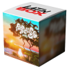 Soy Peor x APA (Latin Box Mashup)