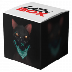 Gato de Noche (Jefs Hype Intro)