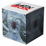 CORAZONES ROTOS (Latin Box Extended)
