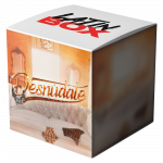 Desnudate (Latin Box Extended)