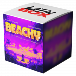 BEACHY (Play-N-Skillz House Remix) (Latin Box Extended)