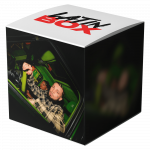 CHULA (Latin Box Extended)