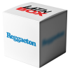 PERRO NEGRO x Reggaeton (Latin Box Mashup)