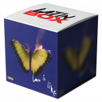 Love Is Like (Latin Box Extended)