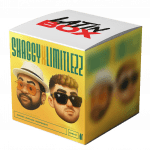 PA' ROMPERLA x Bombastic (Joan Qveralt Mashup)