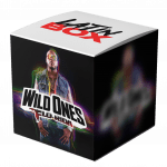 Time Of Our Lives x Wild Ones (Dion Dobbe Mashup)