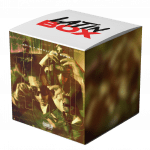 Quien Dijo Amigos x 440 (Latin Box Mashup)