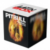 Fireball (Live Mashup)
