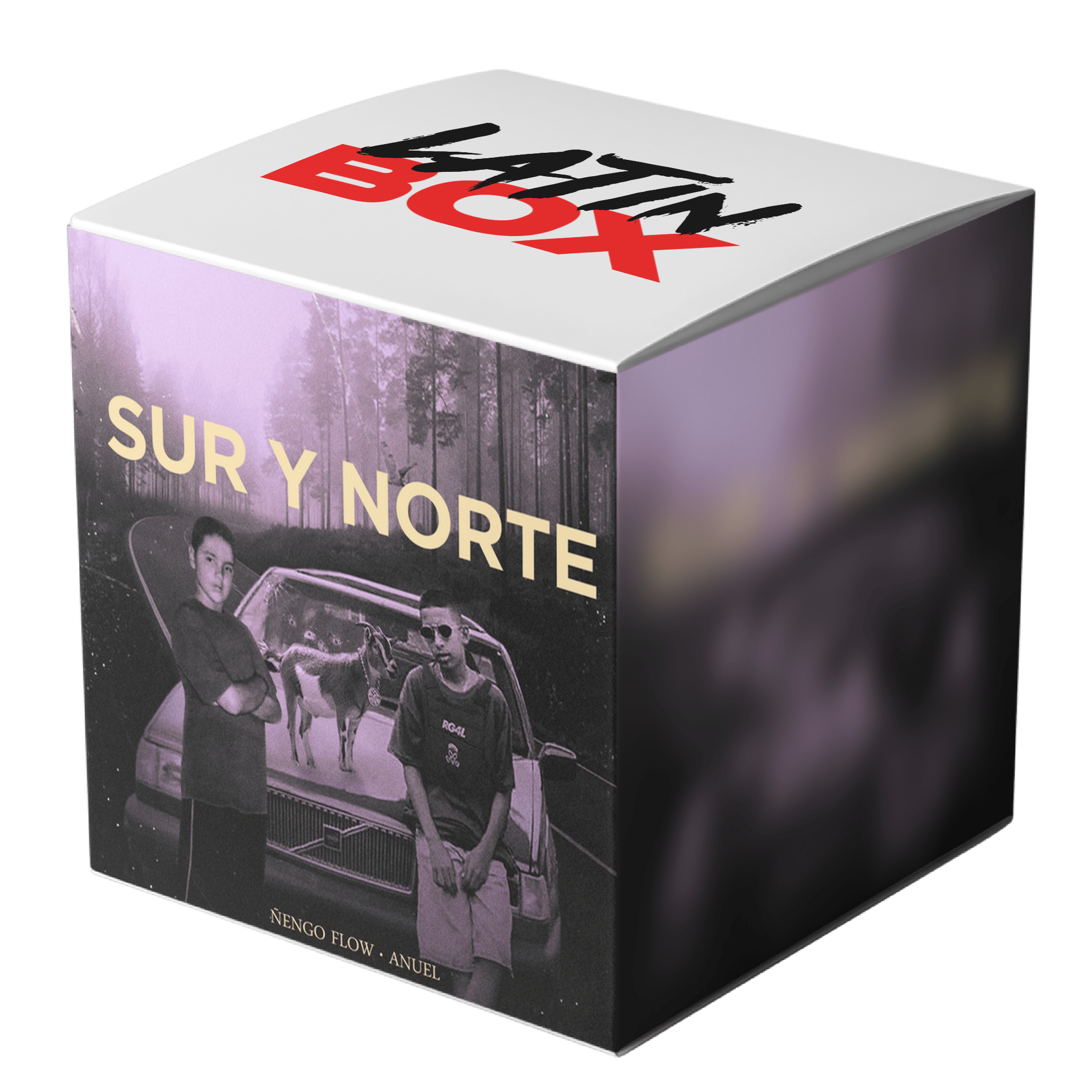 Sur y Norte (Joan Qveralt Redrum)