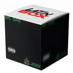 The Next Episode (Live Mashup)