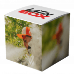 MUEVE ESE CULO (Live Mashup)